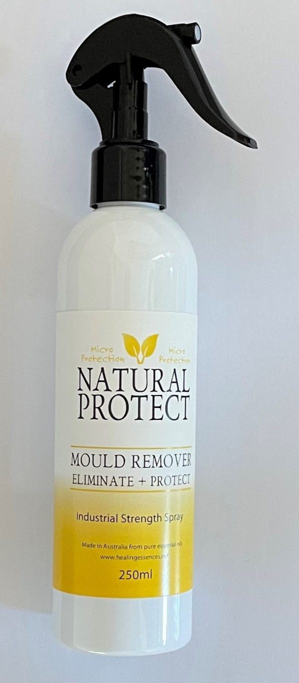 Find the right Natural Protect Micro Protect Clean surface mold